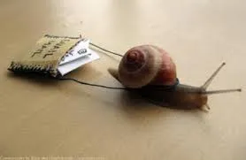 Snail carrying mail