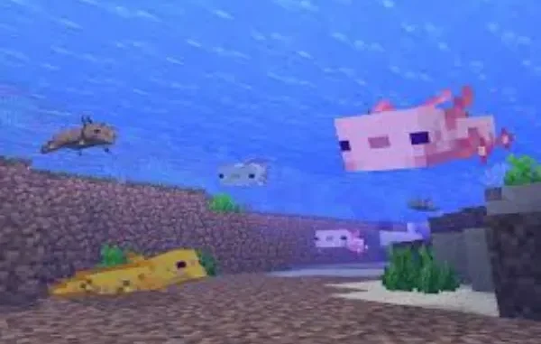 how to breed axolotls in Minecraft